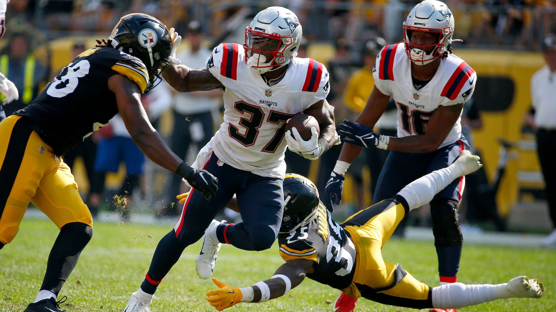 我們不乏因 我們不乏因