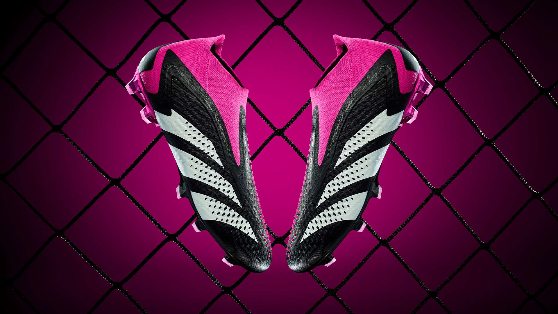 毫無疑問 毫無疑問